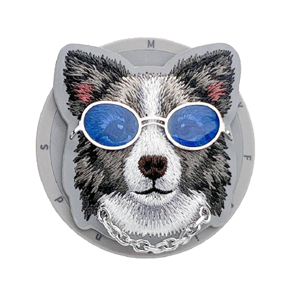 Nimmy Border Collie Combination