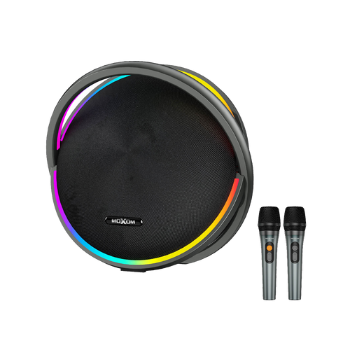 MX Wireless Speaker 300W